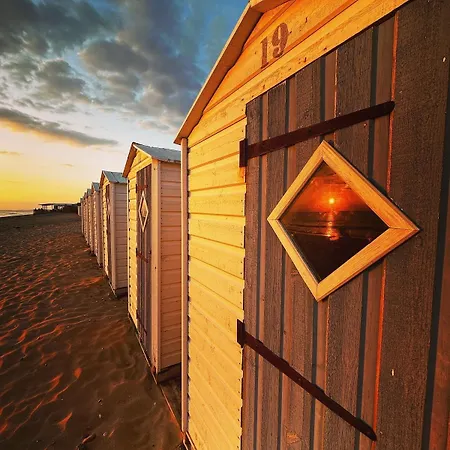 Bel Proche Des Plages Et Commerces Daire